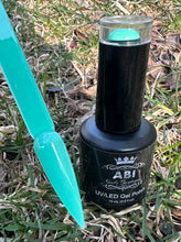 Load image into Gallery viewer, SPRING GEL COLLECTION