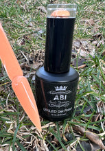 Load image into Gallery viewer, SPRING GEL COLLECTION